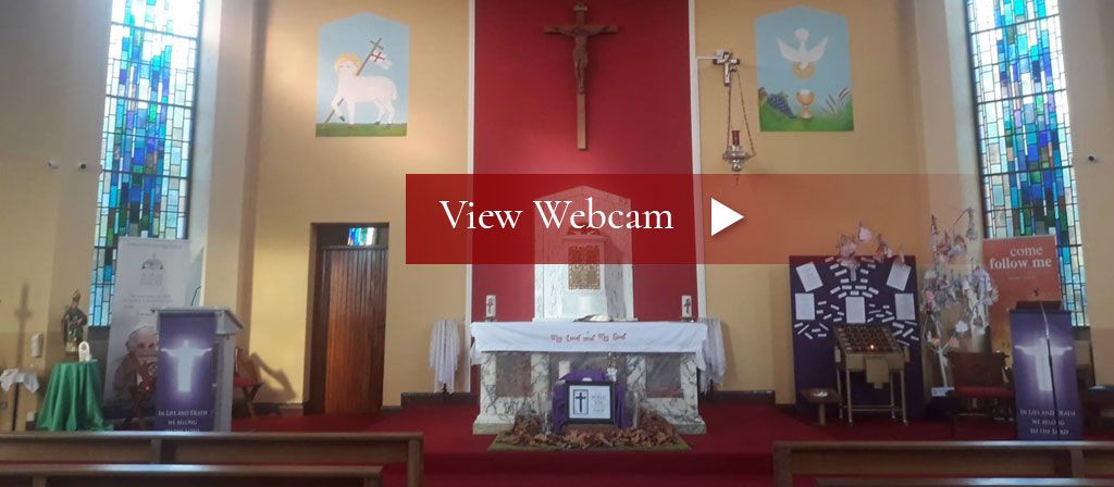 View Webcam